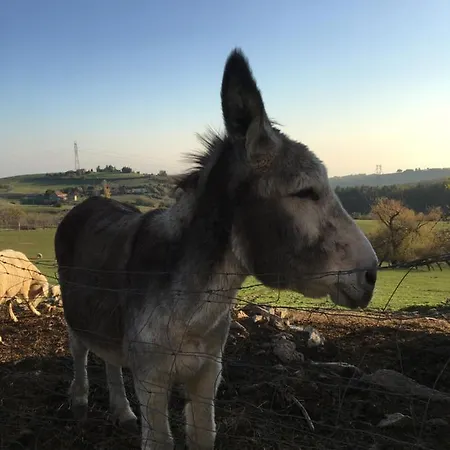 Ferme De Simondon * Plats