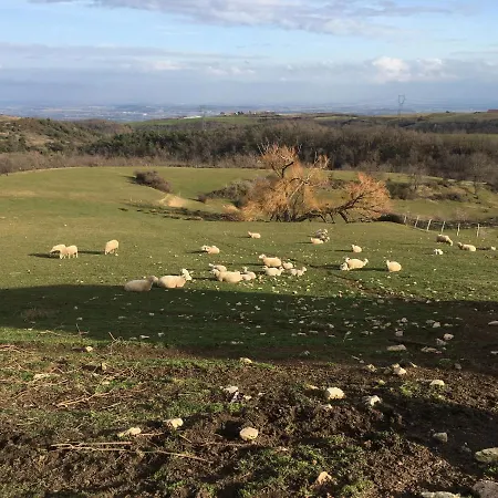 Ferme De Simondon * Plats